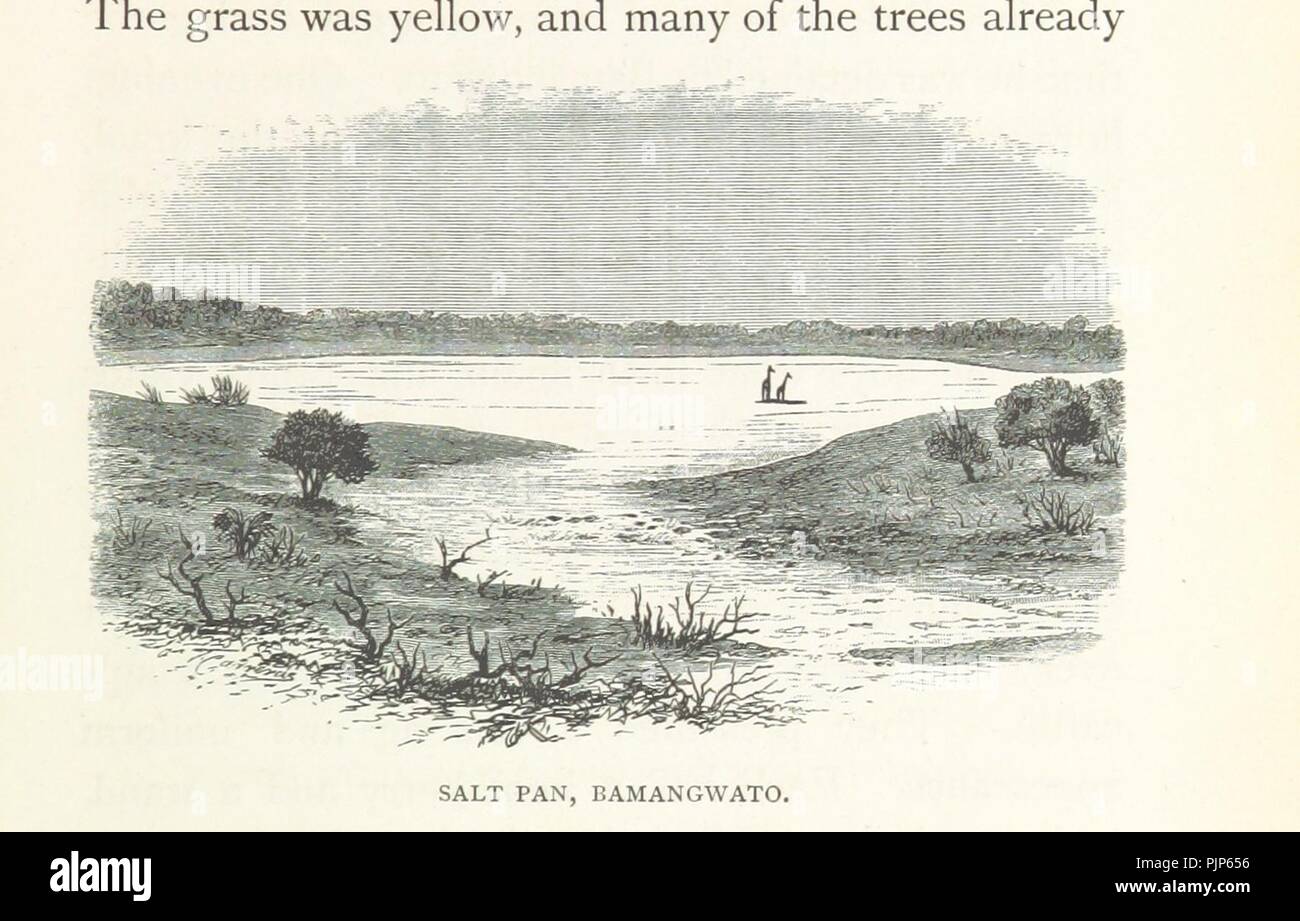 Image  from page 215 of 'Matabele Land and the Victoria Falls. A naturalist's wanderings in the interior of South Africa. From the letters and journals of the late Frank Oates, F.R.G.S. Edited by C. G. Oates. (Memoir.)' by Th0024. Stock Photo