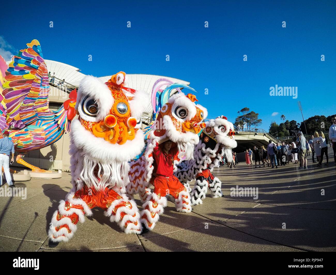 Lion dance dotting the eye hires stock photography and images Alamy