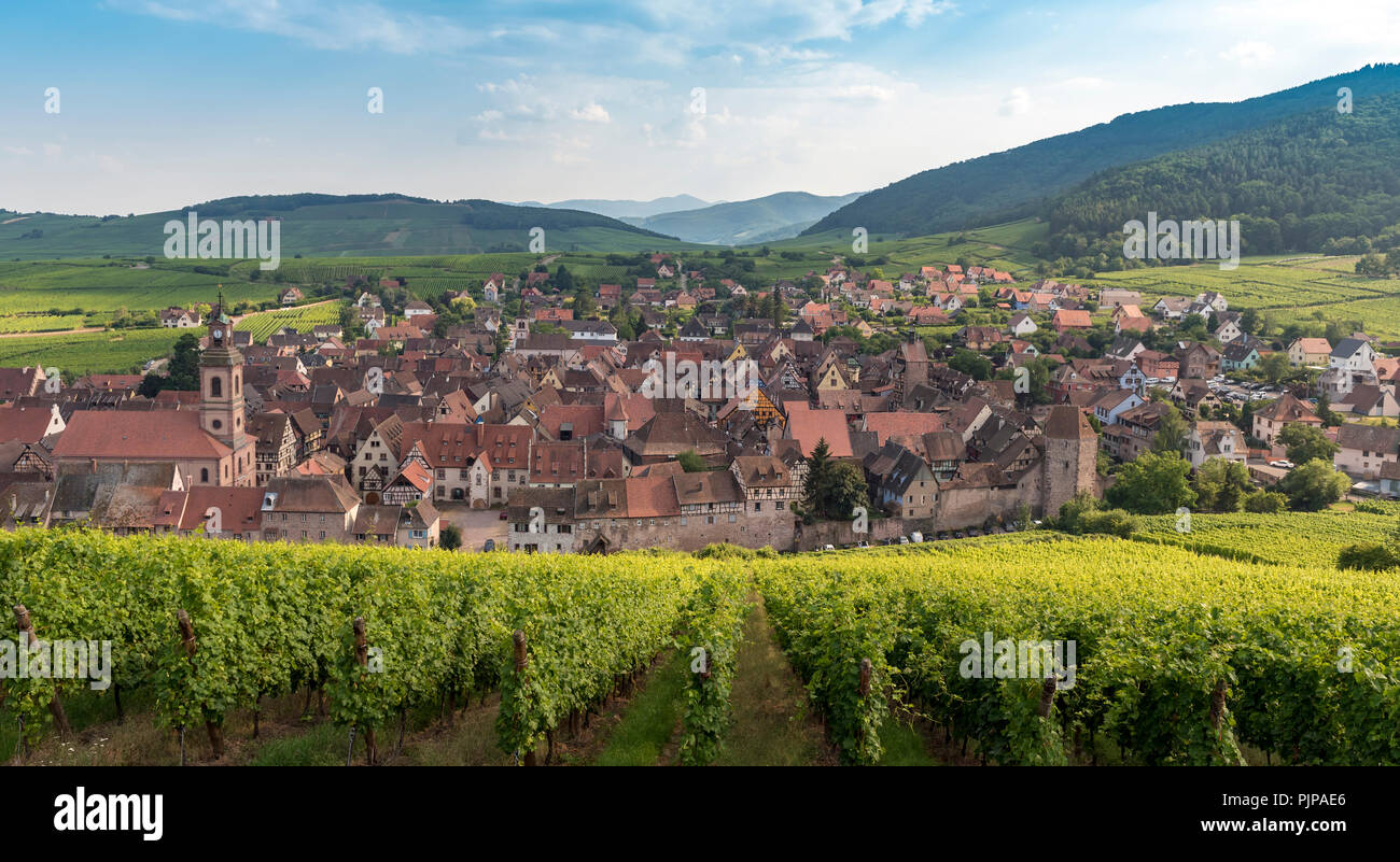 View of Riquewihr, Wine route in Alsace, France Stock Photo