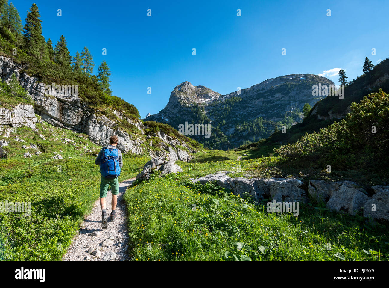 Hiker On Trail To Karlingerhaus Behind Viehkogel Summit