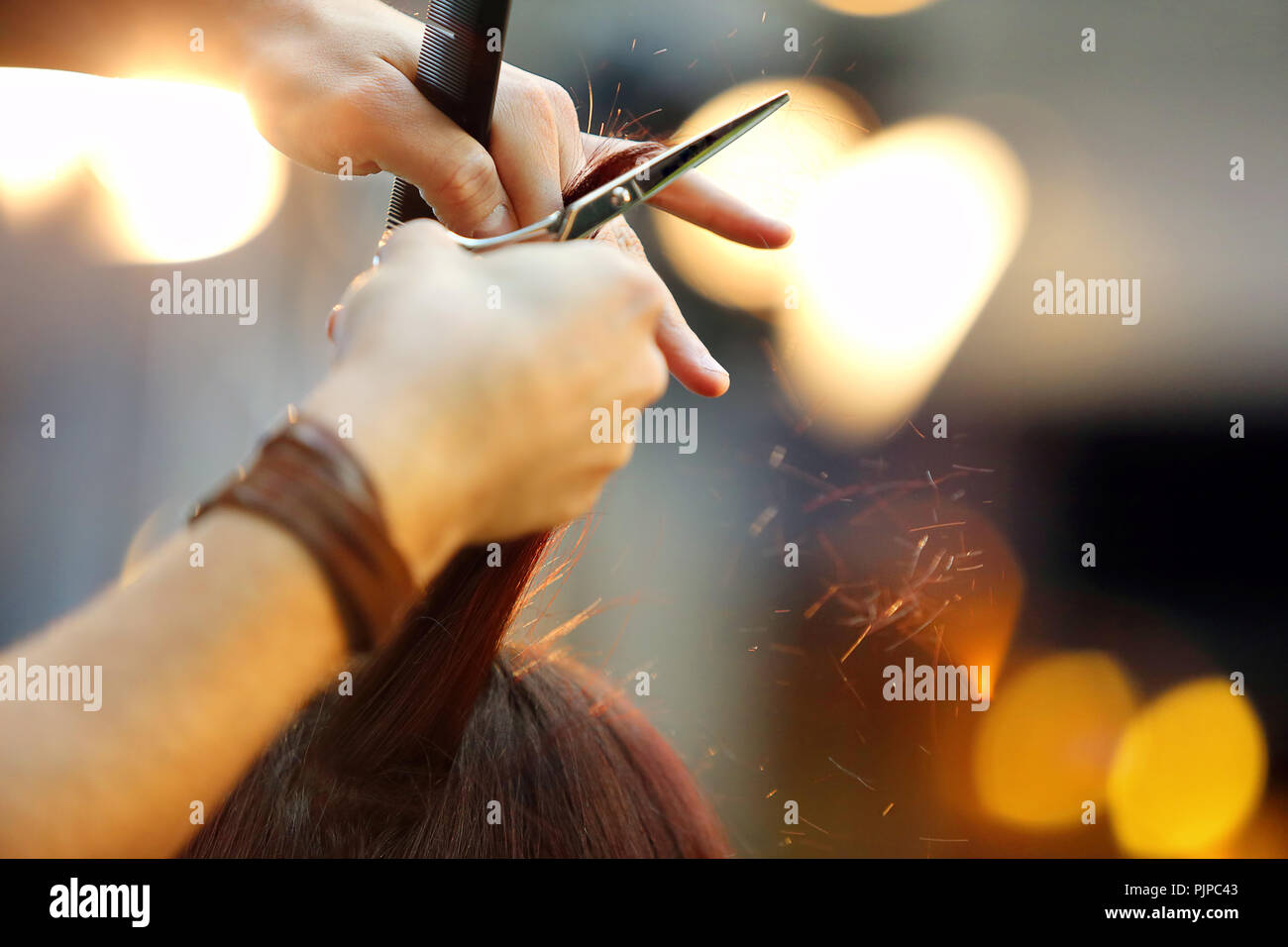 Hairdresser cuts the hair of the client with scissors in the