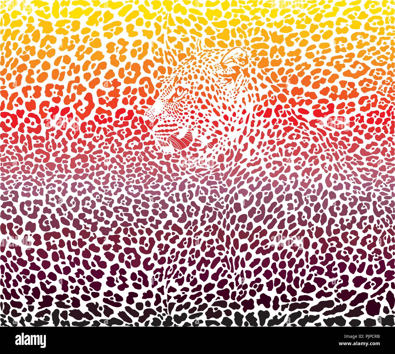 Leopard portrait illustration hi-res stock photography and images - Alamy