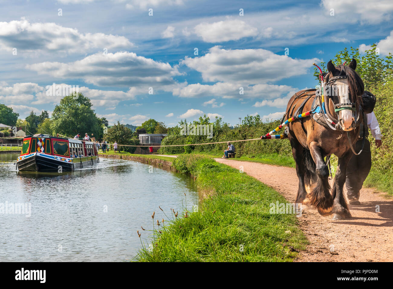 'Tivertonian', the last horsedrawn barge in the West Country, sets off