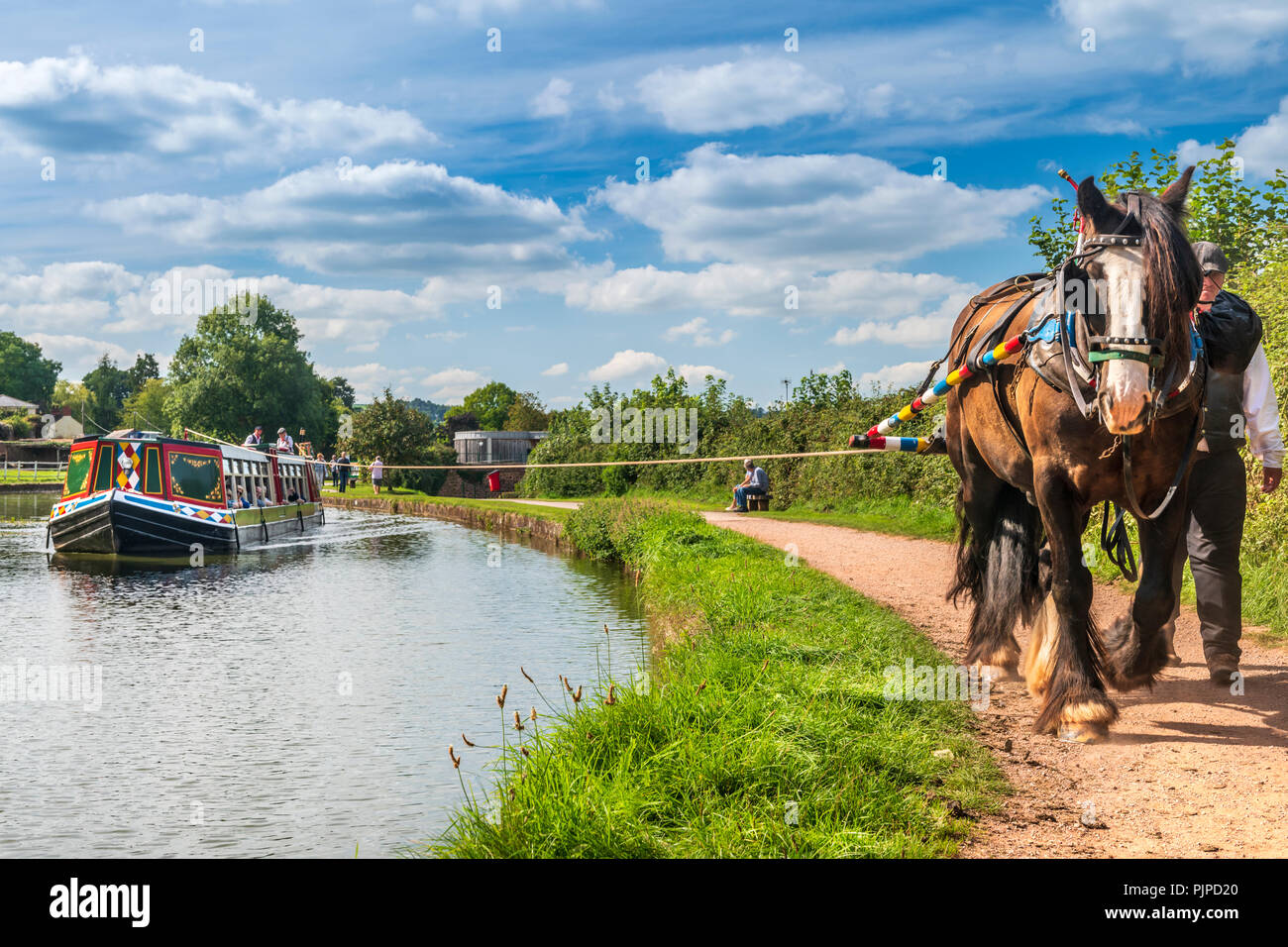'Tivertonian', the last horse-drawn barge in the West Country, sets off for another serene trip down the Grand Western Canal near Tiverton in Devon. Stock Photo