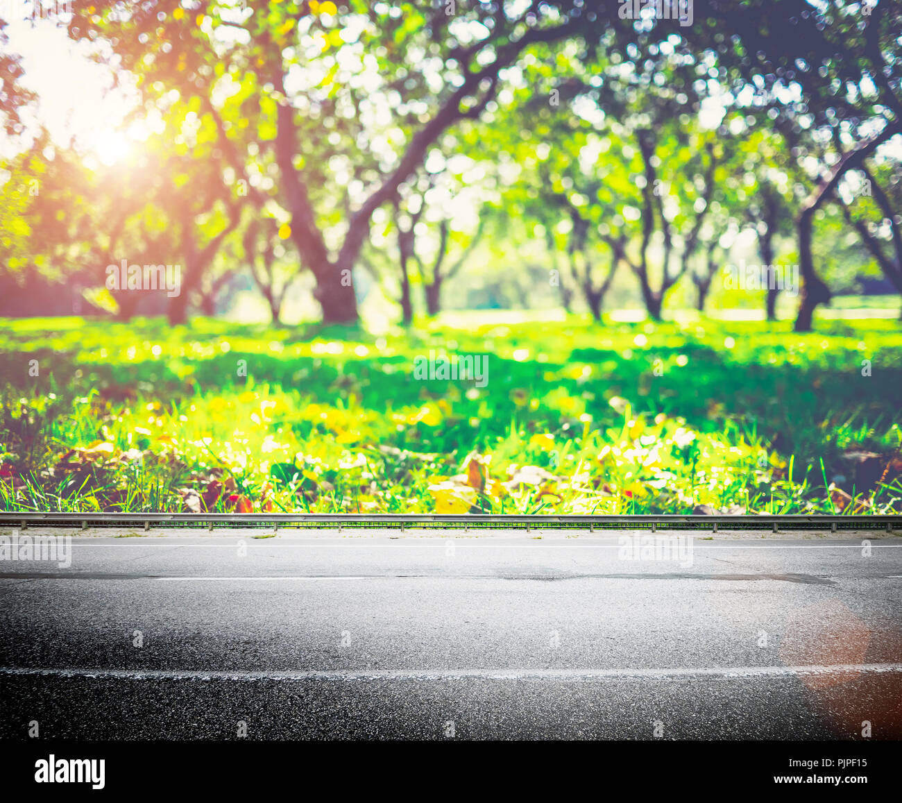 Park background images deals