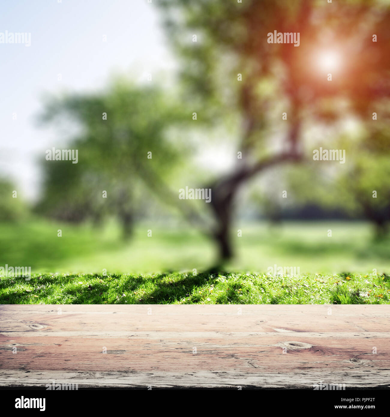Park blur background. Summer day nature landscape Stock Photo - Alamy