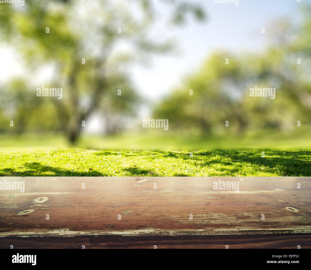 Park blur background. Summer day nature landscape Stock Photo - Alamy