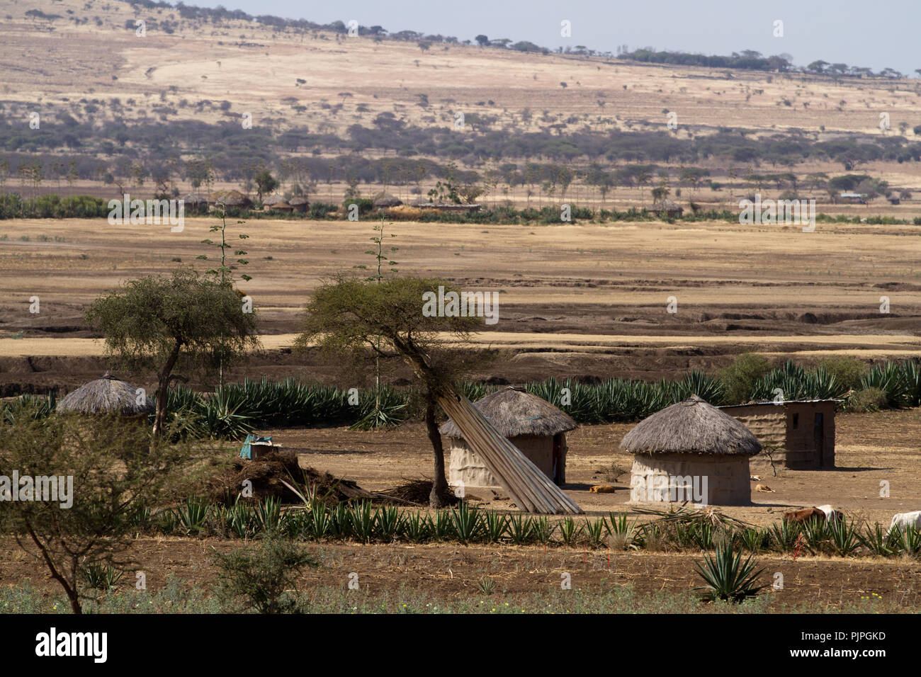 masai tribe village Stock Photo
