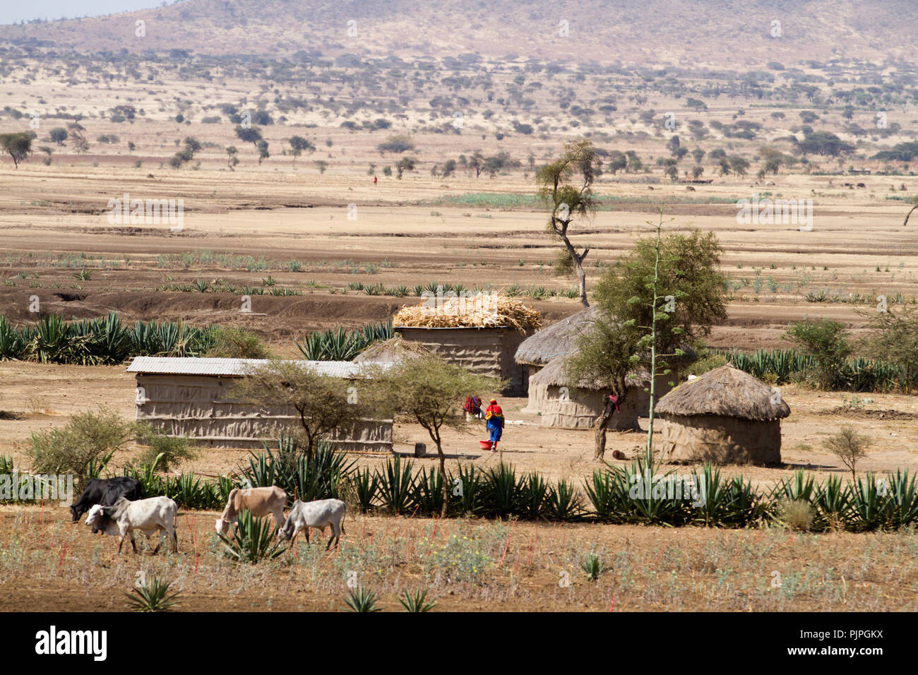 masai tribe village Stock Photo