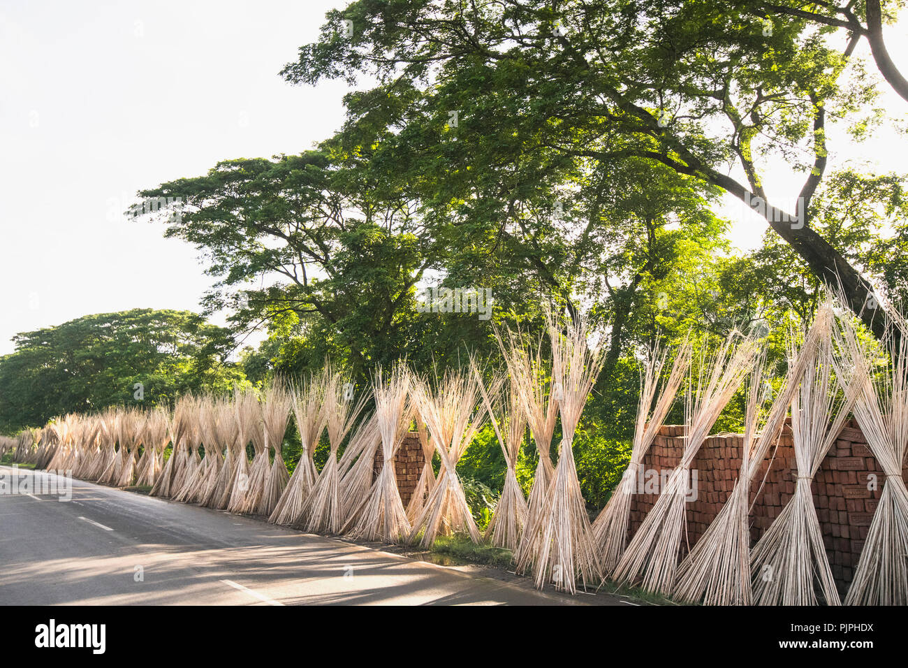 India and jute hi-res stock photography and images - Alamy