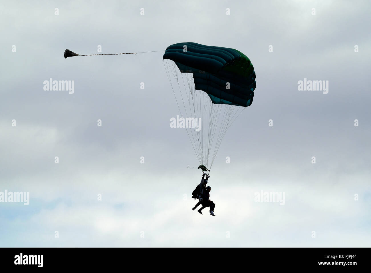 Skydivers under modern parachutes coming in to land on airfield. Stock Photo