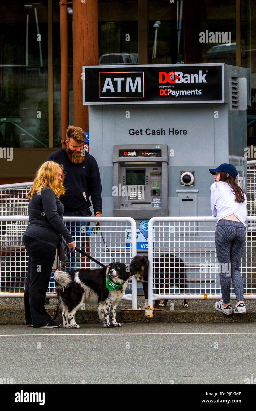 Deck rules hires stock photography and images Alamy