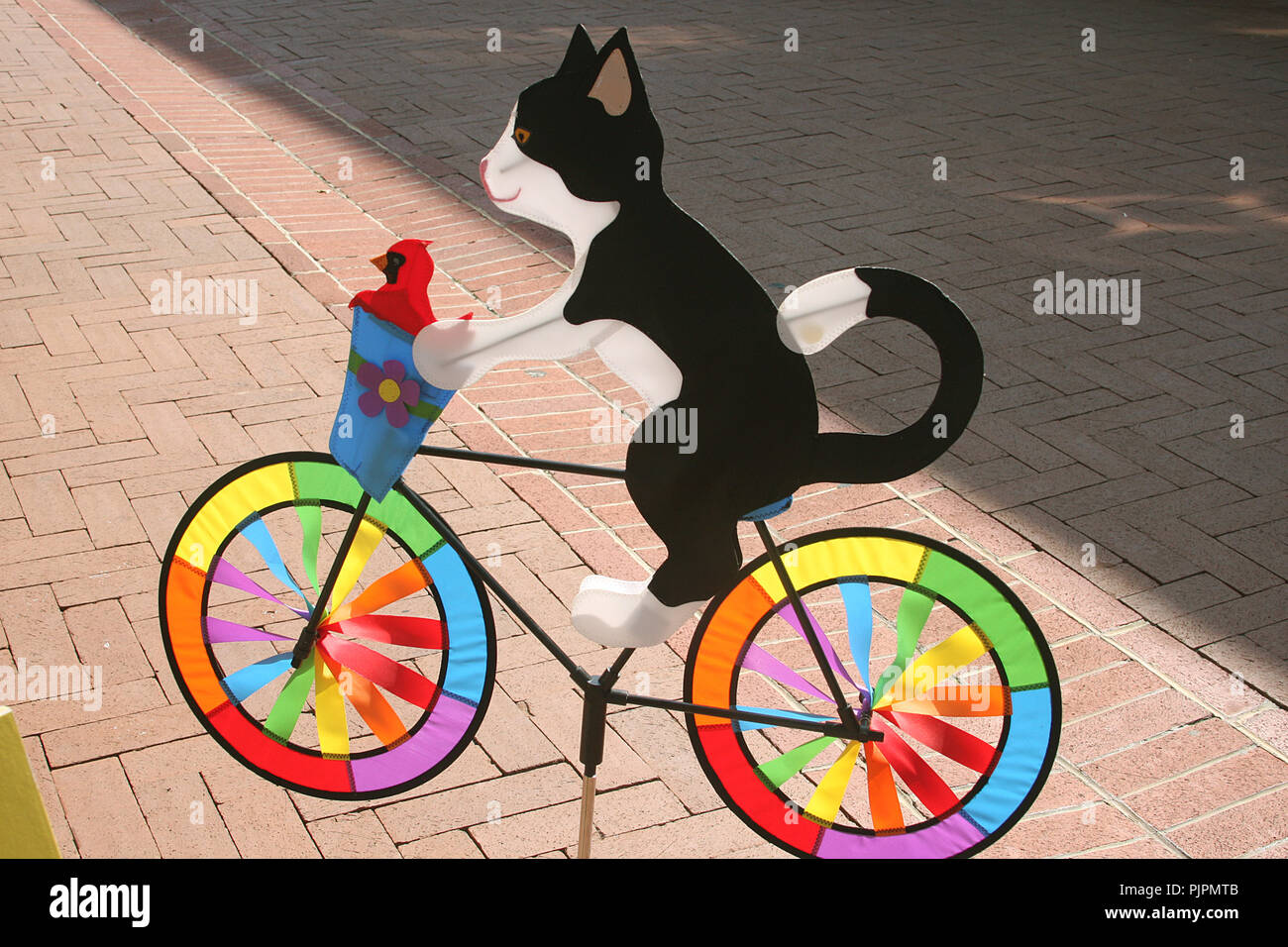 Cat on bicycle. Colorful outdoor decor. Stock Photo