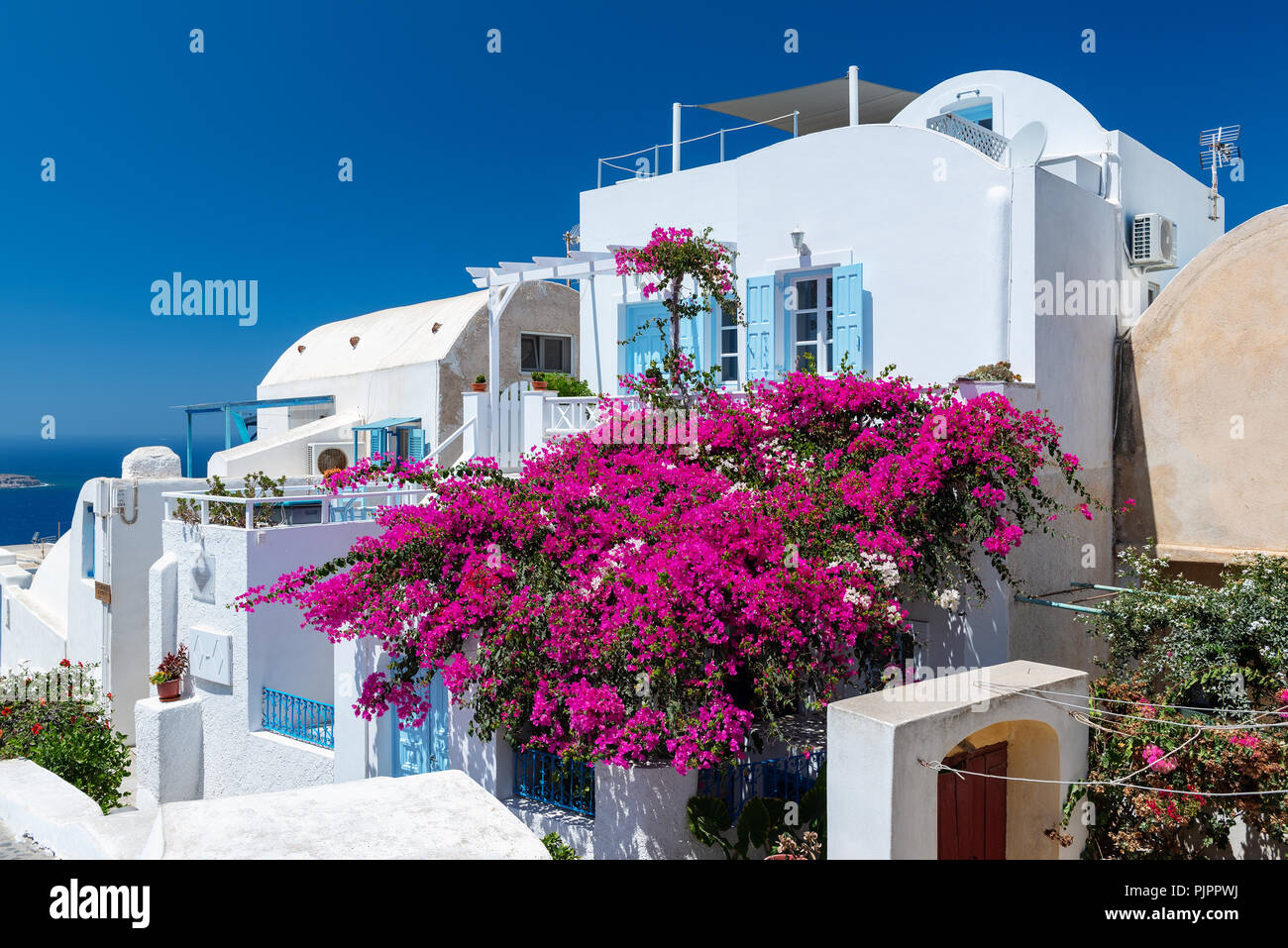 OIA, GREECE - AUGUST 2018: Traditional white Greek house with blossoming bougainvillea flowers at Santorini island Stock Photo