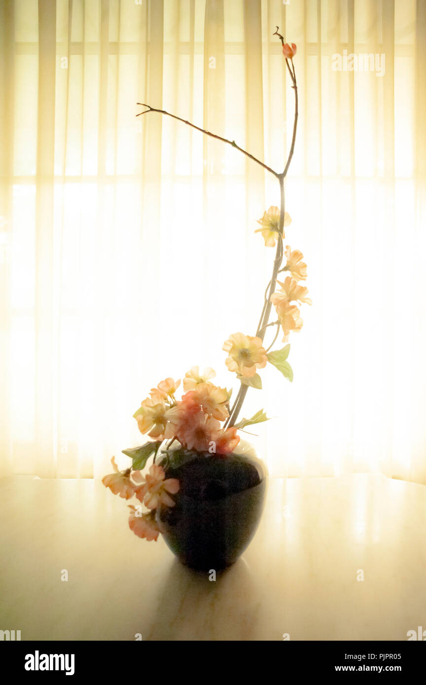 Young woman flower arranging japan hires stock photography and images