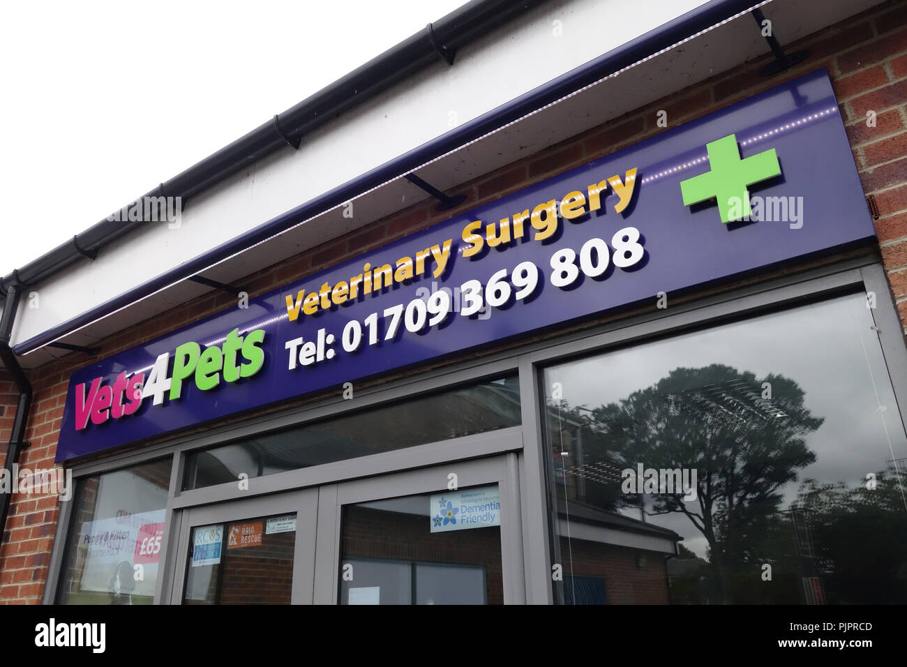 vets for pets longton