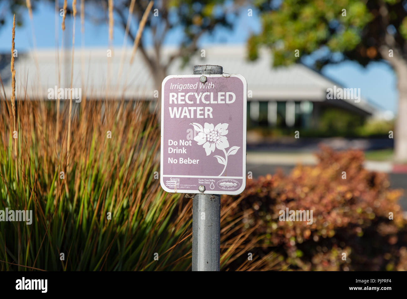 Irrigated With Recycled Water – Do Not Drink, sign; Sunnyvale, California Stock Photo