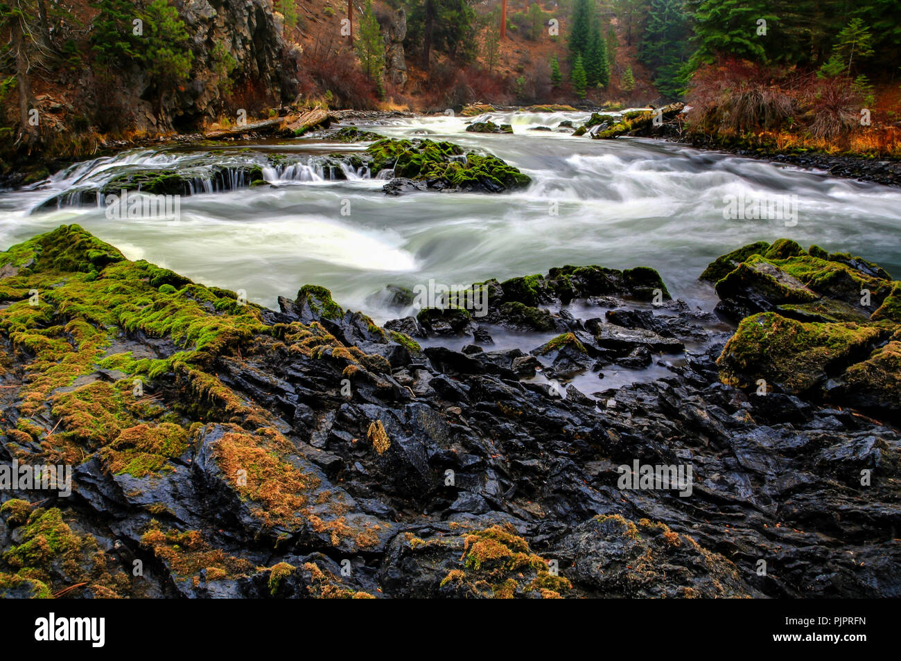 Moss Covered Lava Rock Along the Deschutes River Canyon in Bend Oregon Stock Photo