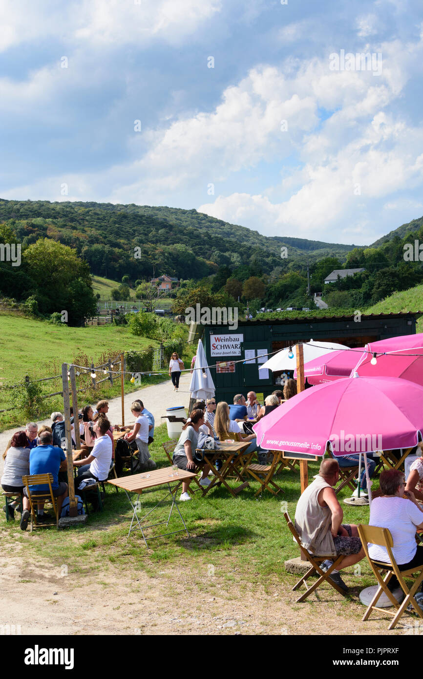 Pfaffstätten: vineyard, bar at festival "Genussmeile" along 1st Vienna water line hiking path, winegrowing enterprises with own bars, visitors, Wiener Stock Photo