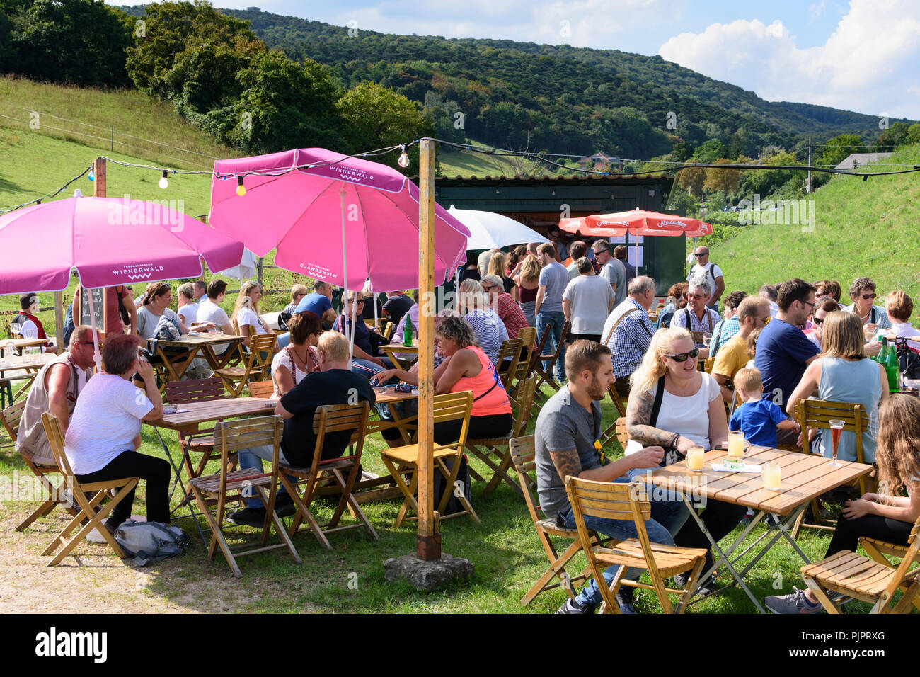 Pfaffstätten: vineyard, bar at festival "Genussmeile" along 1st Vienna water line hiking path, winegrowing enterprises with own bars, visitors, Wiener Stock Photo