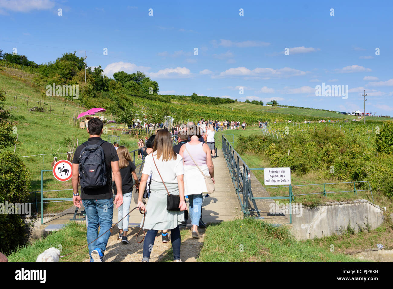 Pfaffstätten: aqueduct of 1st Vienna water line, vineyard, bar at festival "Genussmeile" along 1st Vienna water line hiking path, winegrowing enterpri Stock Photo