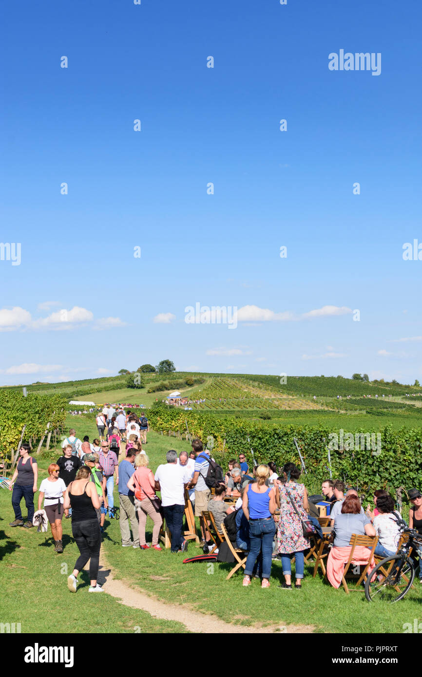 Pfaffstätten: vineyard, bar at festival "Genussmeile" along 1st Vienna water line hiking path, winegrowing enterprises with own bars, visitors, Wiener Stock Photo