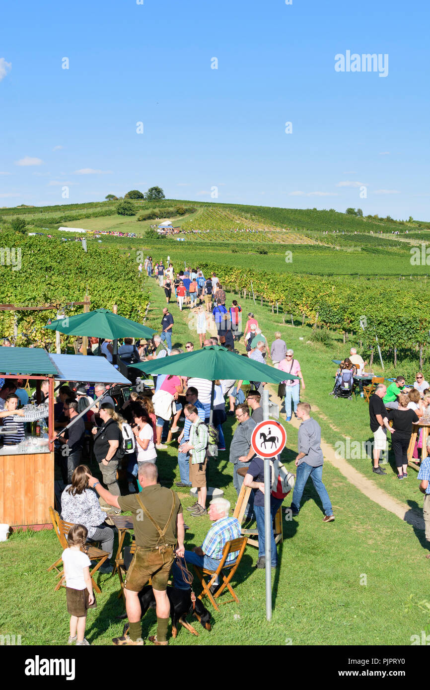 Pfaffstätten: vineyard, bar at festival "Genussmeile" along 1st Vienna water line hiking path, winegrowing enterprises with own bars, visitors, Wiener Stock Photo