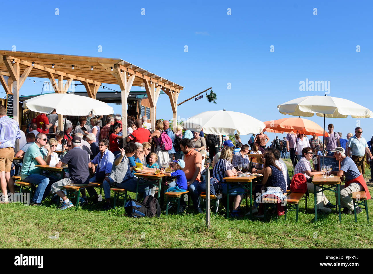 Pfaffstätten: vineyard, bar at festival "Genussmeile" along 1st Vienna water line hiking path, winegrowing enterprises with own bars, visitors, Wiener Stock Photo