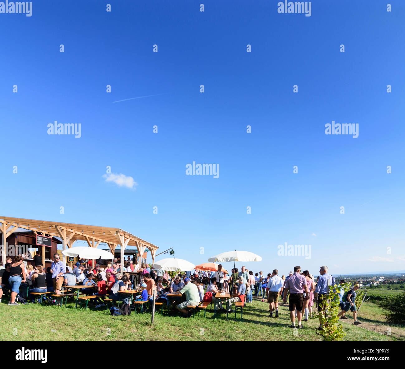 Pfaffstätten: vineyard, bar at festival "Genussmeile" along 1st Vienna water line hiking path, winegrowing enterprises with own bars, visitors, Wiener Stock Photo