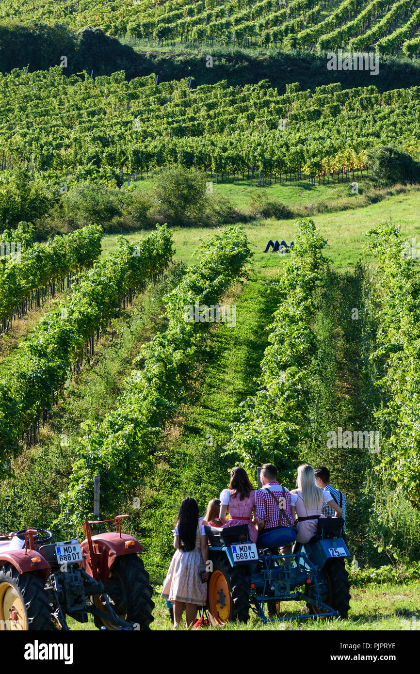 Pfaffstätten: historical tractors at vineyard, at festival "Genussmeile" along 1st Vienna water line hiking path, Wienerwald, Vienna Woods, Niederöste Stock Photo