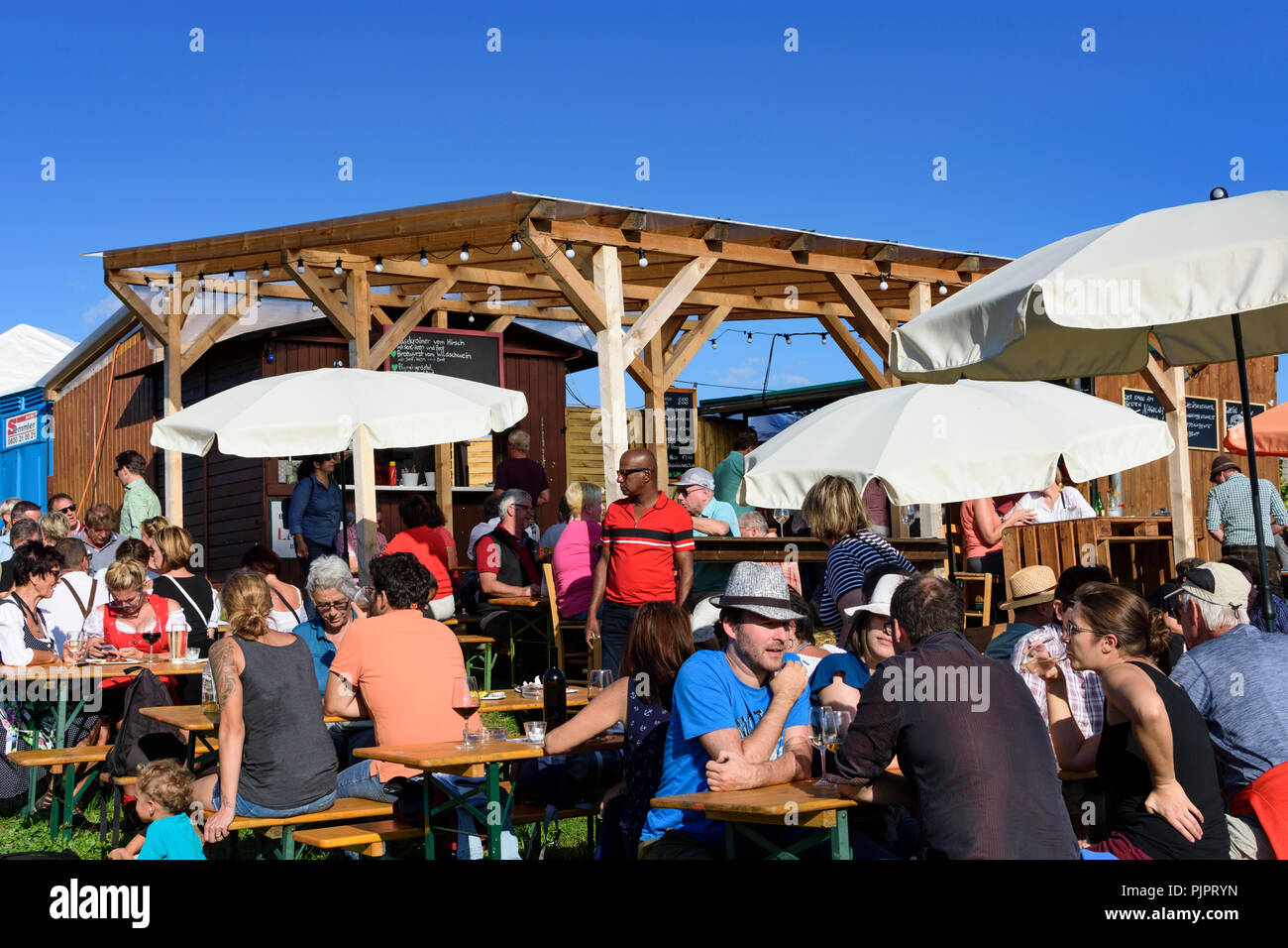 Pfaffstätten: vineyard, bar at festival "Genussmeile" along 1st Vienna water line hiking path, winegrowing enterprises with own bars, visitors, Wiener Stock Photo