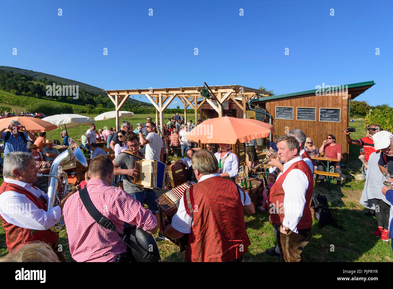 Pfaffstätten: vineyard, bar at festival "Genussmeile" along 1st Vienna water line hiking path, winegrowing enterprises with own bars, visitors, Wiener Stock Photo