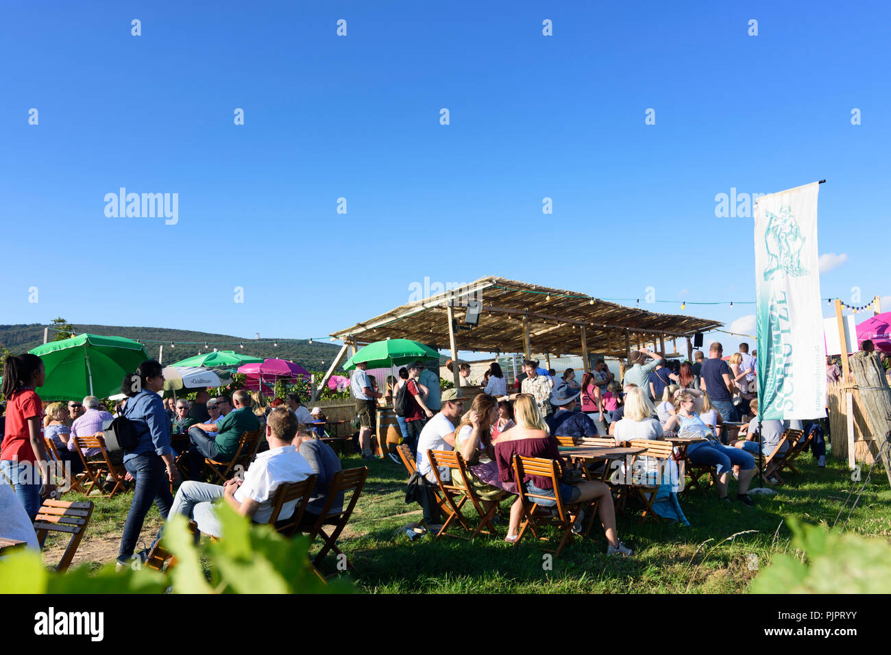 Pfaffstätten: vineyard, bar at festival "Genussmeile" along 1st Vienna water line hiking path, winegrowing enterprises with own bars, visitors, Wiener Stock Photo