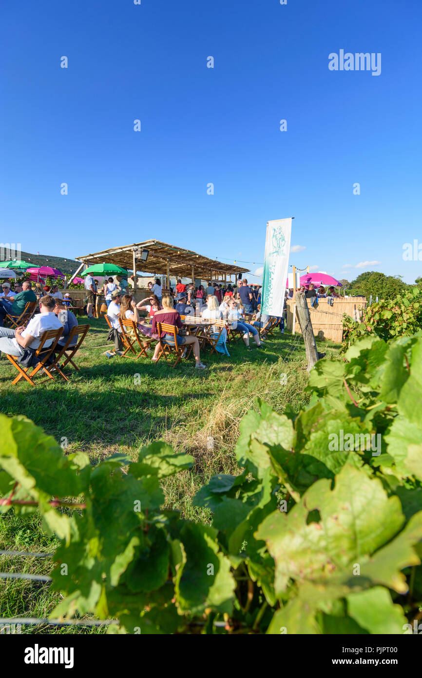 Pfaffstätten: vineyard, bar at festival "Genussmeile" along 1st Vienna water line hiking path, winegrowing enterprises with own bars, visitors, Wiener Stock Photo