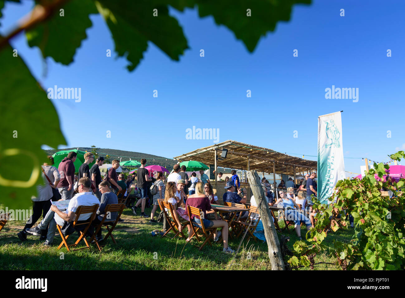 Pfaffstätten: vineyard, bar at festival "Genussmeile" along 1st Vienna water line hiking path, winegrowing enterprises with own bars, visitors, Wiener Stock Photo