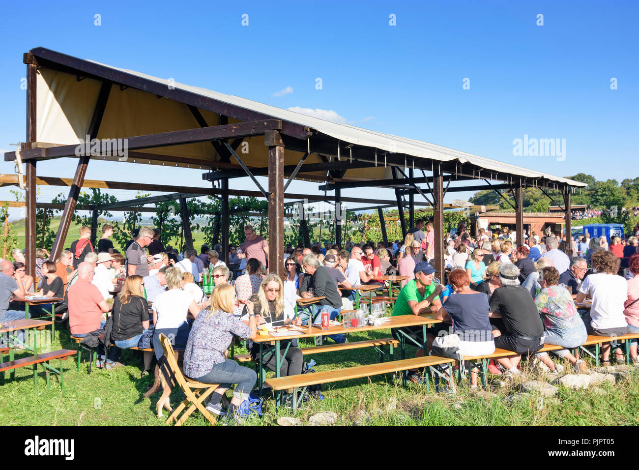 Pfaffstätten: vineyard, bar at festival "Genussmeile" along 1st Vienna water line hiking path, winegrowing enterprises with own bars, visitors, Wiener Stock Photo