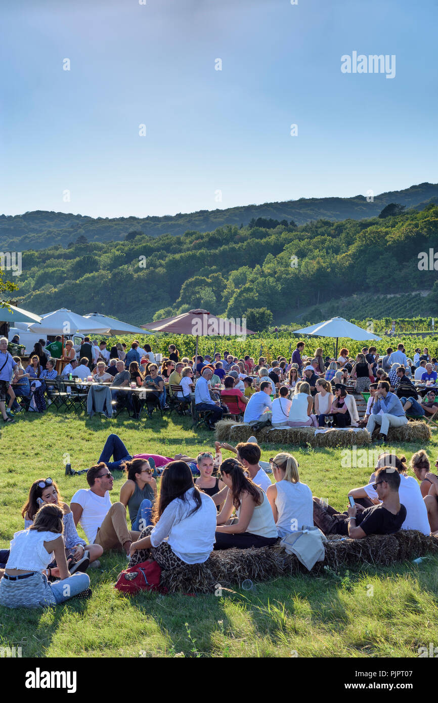 Gumpoldskirchen: vineyard, bar at festival "Genussmeile" along 1st Vienna water line hiking path, winegrowing enterprises with own bars, visitors, Wie Stock Photo