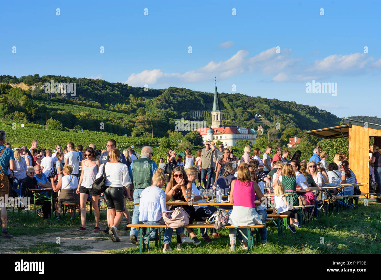 Gumpoldskirchen: Deutschordensschloss (German Order Castle),  vineyard, bar at festival 'Genussmeile' along 1st Vienna water line hiking path, winegro Stock Photo