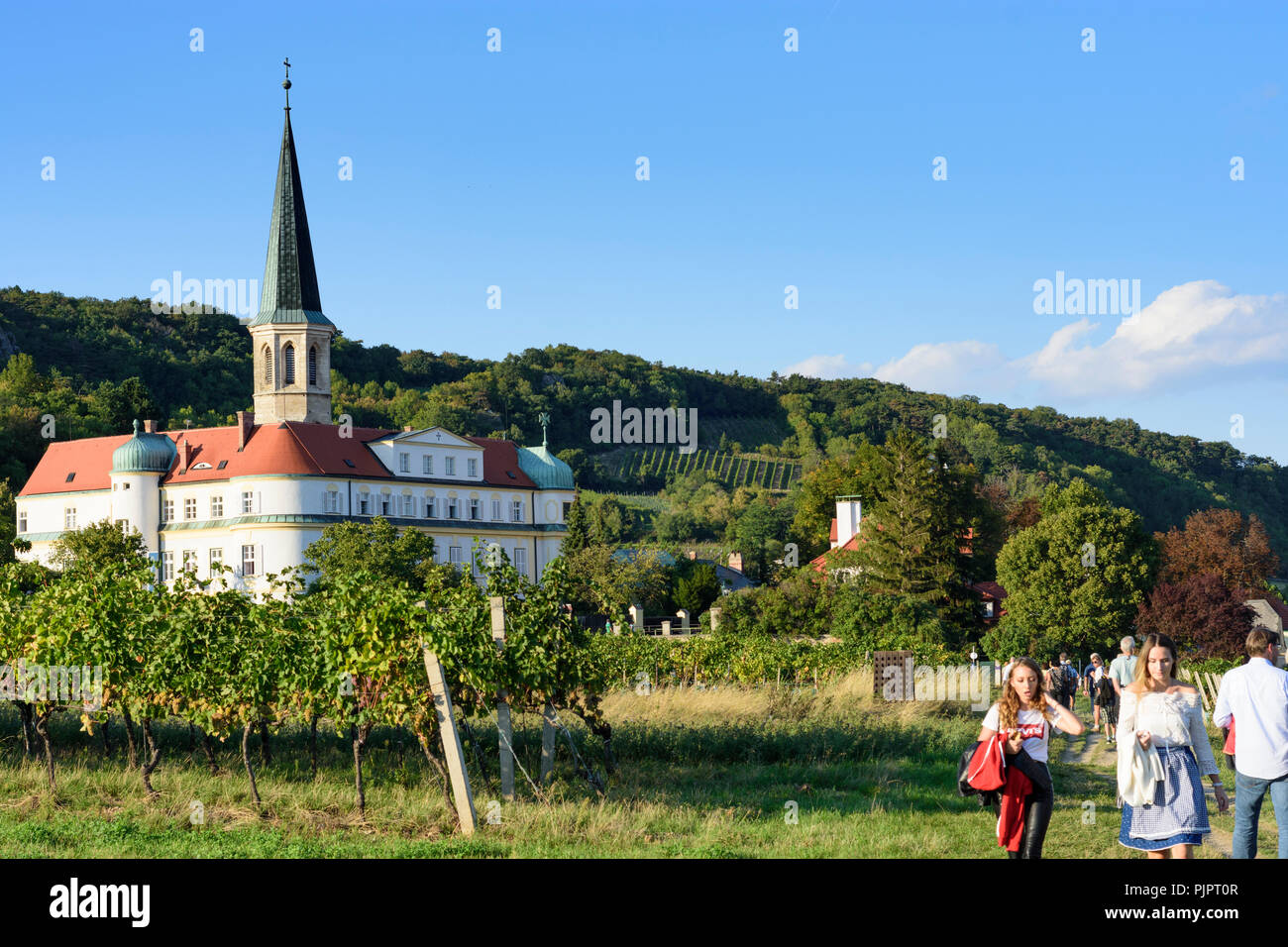 Gumpoldskirchen: Deutschordensschloss (German Order Castle),  vineyard, wine, Wienerwald, Vienna Woods, Niederösterreich, Lower Austria, Austria Stock Photo