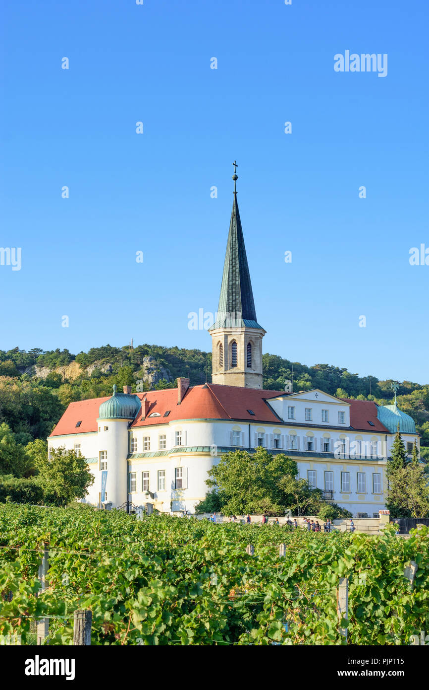 Gumpoldskirchen: Deutschordensschloss (German Order Castle),  vineyard, wine, Wienerwald, Vienna Woods, Niederösterreich, Lower Austria, Austria Stock Photo