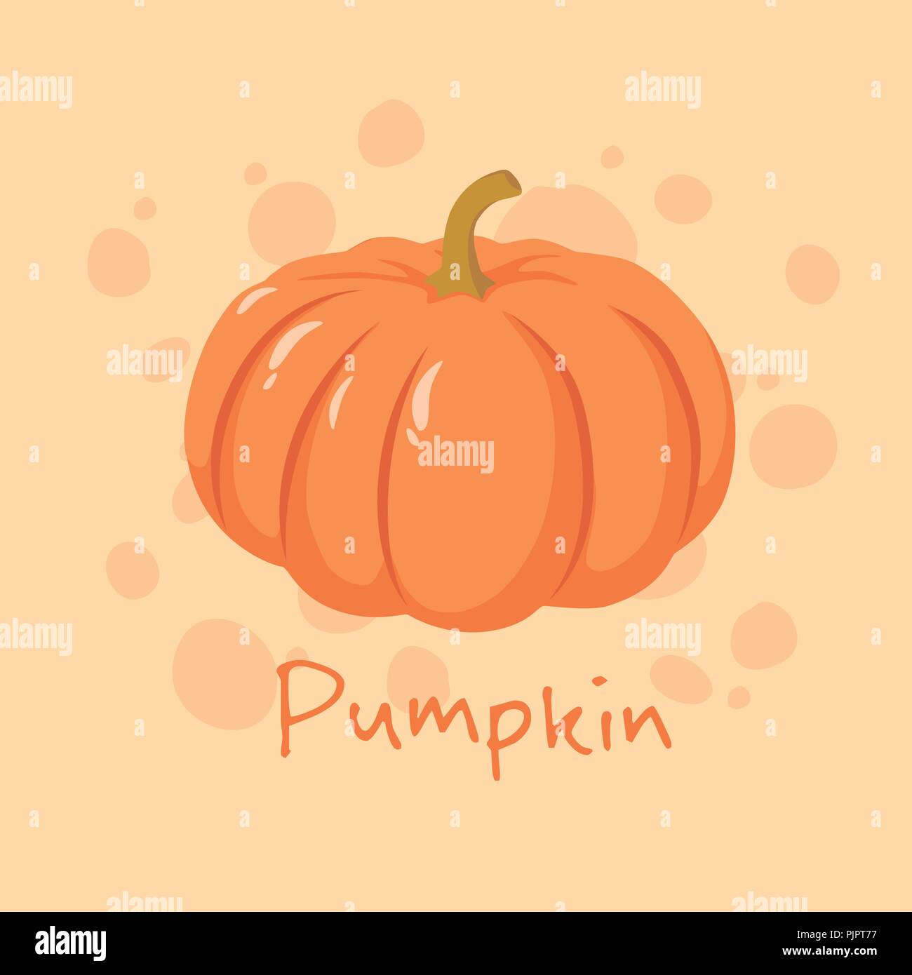 Pumpkin vegetable fruit vector illustration isolated on orange ...