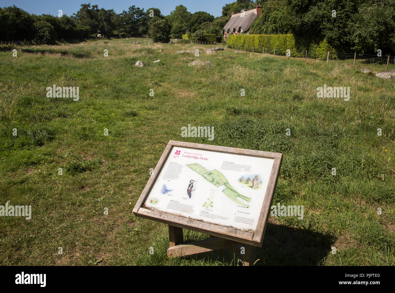 National Trust information board panel at Lockeridge Dene, near