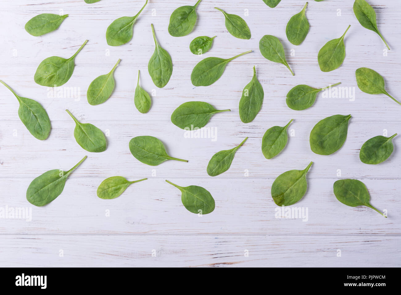 Young Spinach pattern background on white.Top view Stock Photo - Alamy
