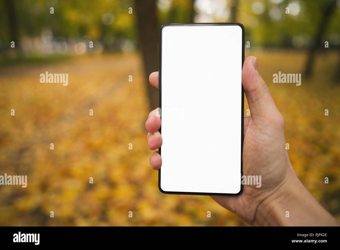 young man hand holding smartphone with white screen outdoors against autumn sidewalk, copy space Stock Photo