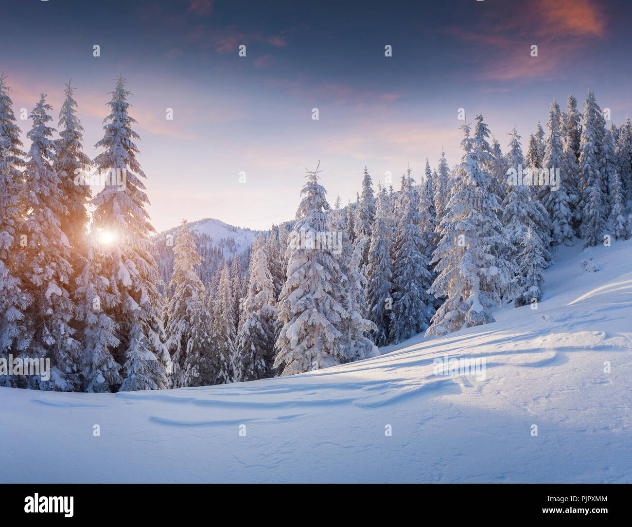 Beautiful winter sunrise in the mountains. Stock Photo