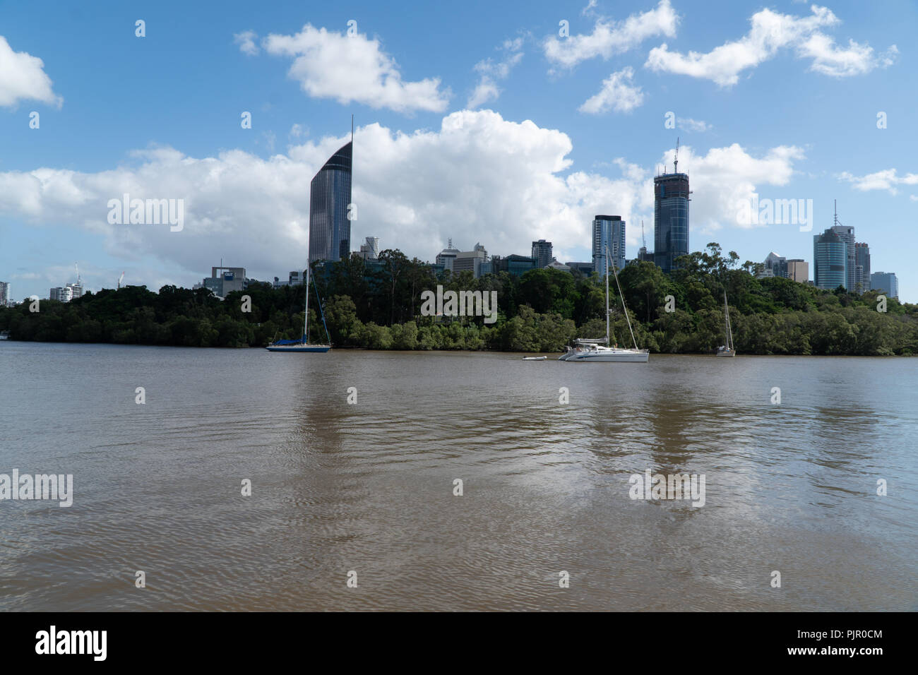 View over the river to the Botanical Garden of Brisbane, Australia Stock Photo