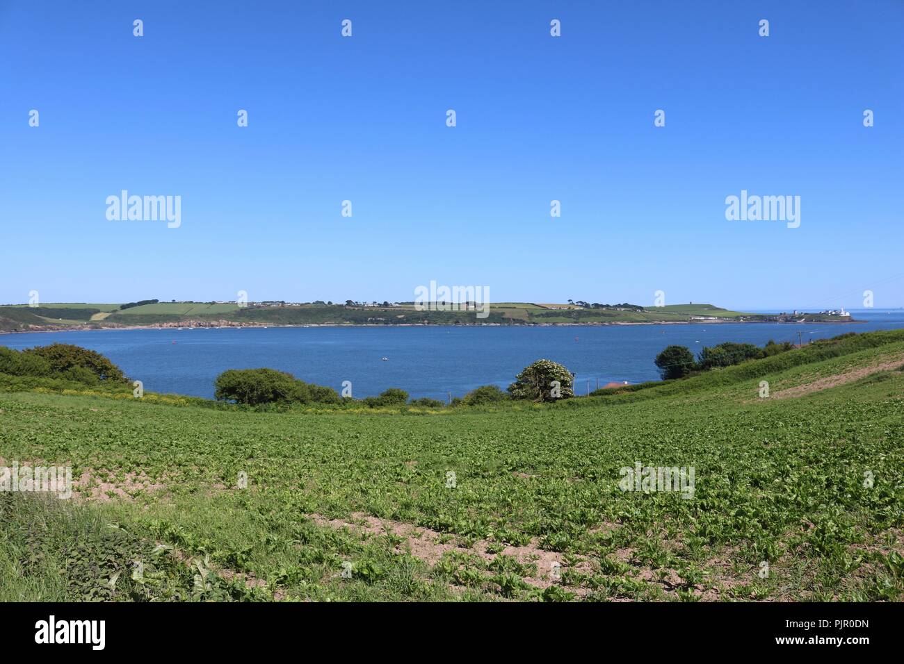 Views of Cork harbour from Robert's cove, Cork Stock Photo Alamy