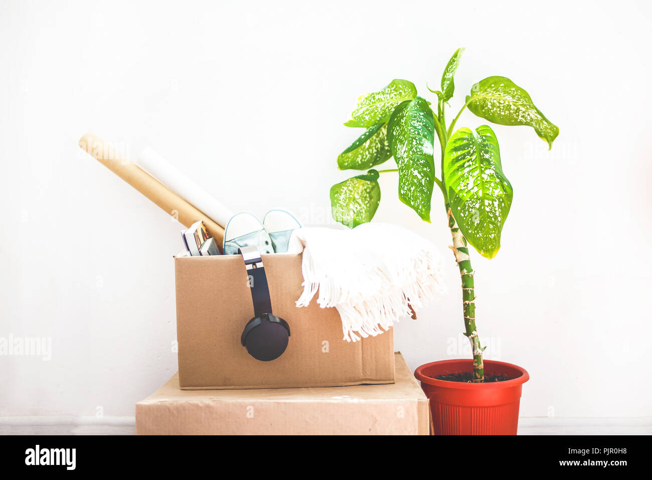 Moving Things In Boxes Garage Sale Flower In A Pot On A White