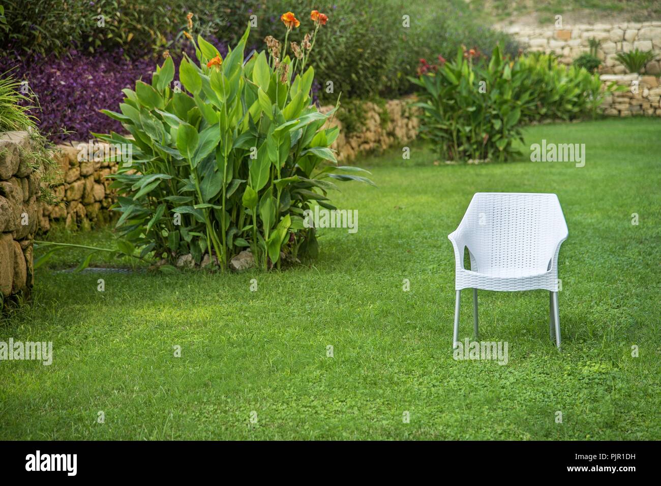 Chair in the garden. Single player concept Stock Photo