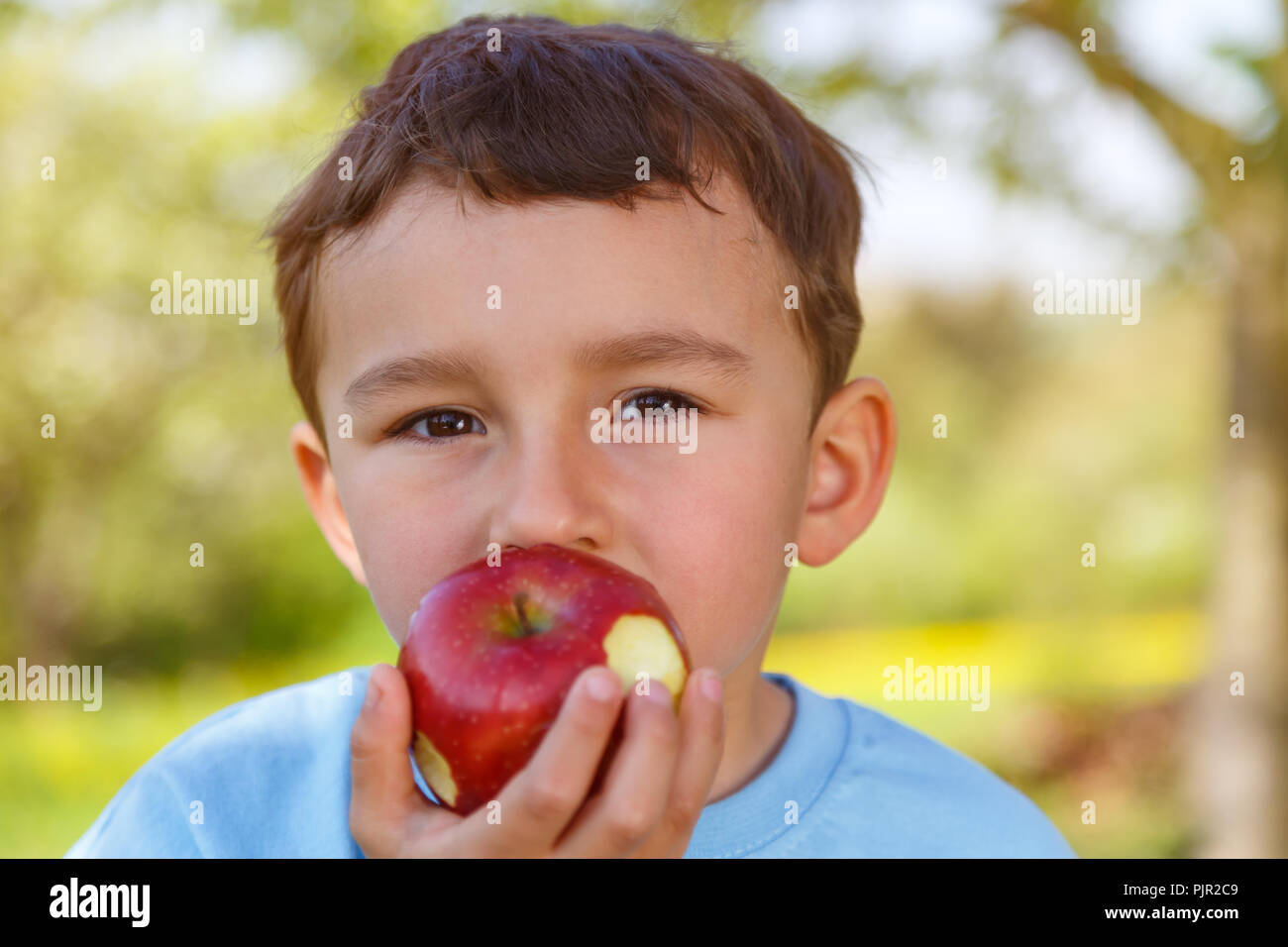 Child kid little boy eating apple fruit outdoor outdoors outside spring nature Stock Photo
